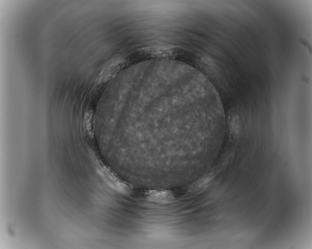 X0000101950185200808011054