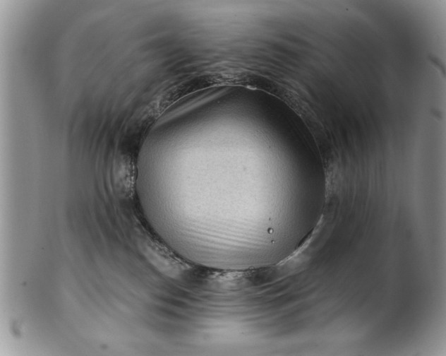 X0000101950186200808011054