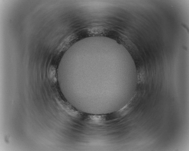 X0000101950187200808011054