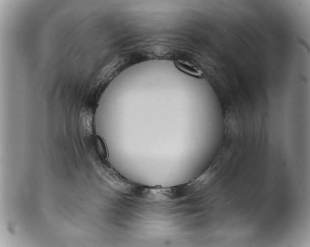 X0000101950188200808011054