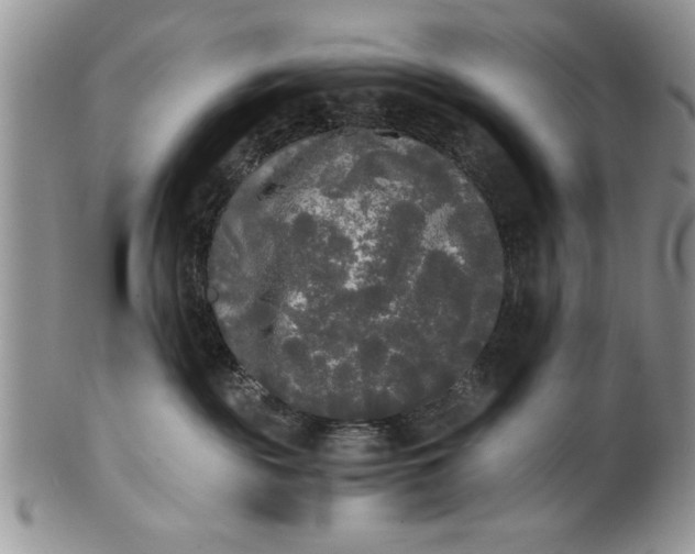 X0000101950189200808011054