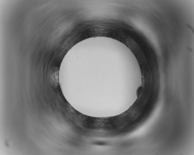 X0000101950190200808011054