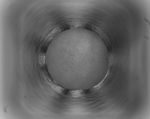 X0000101950191200808011054