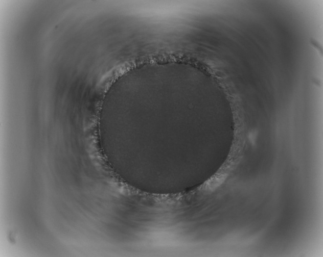 X0000101950192200808011054