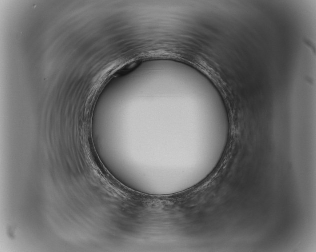 X0000101950193200808011053