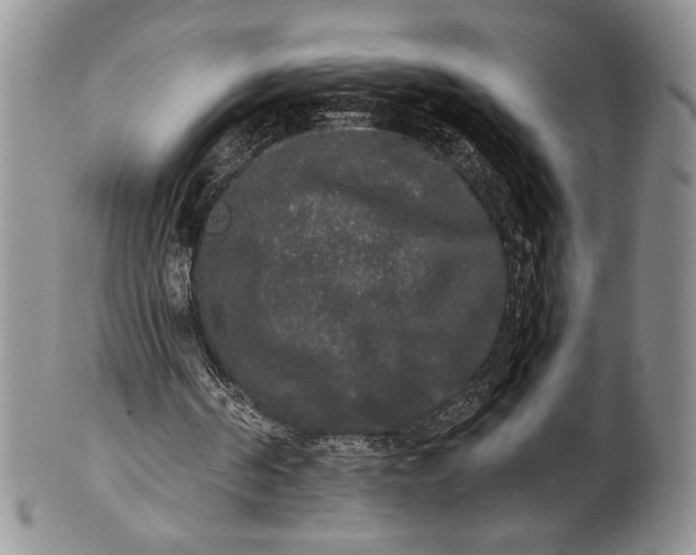 X0000101950194200808011053