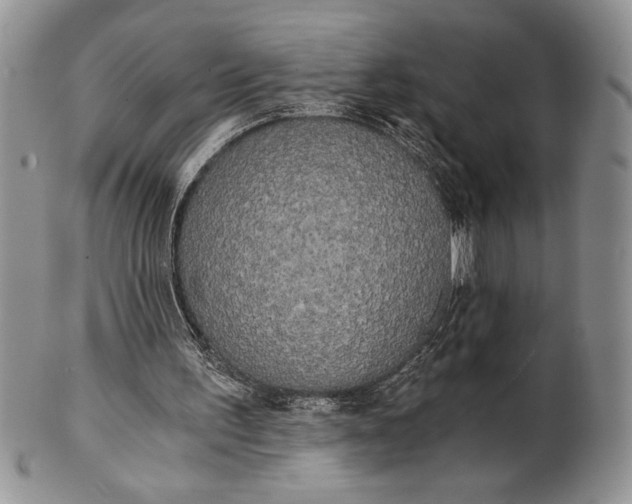 X0000101950195200808011053