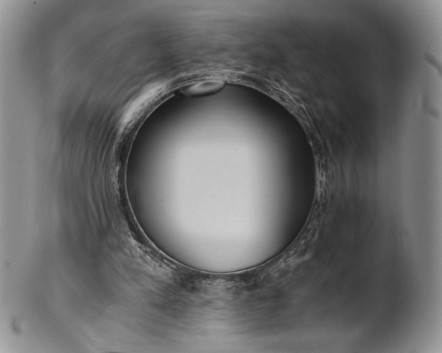 X0000101950197200808011053