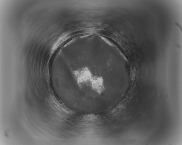 X0000101950198200808011053