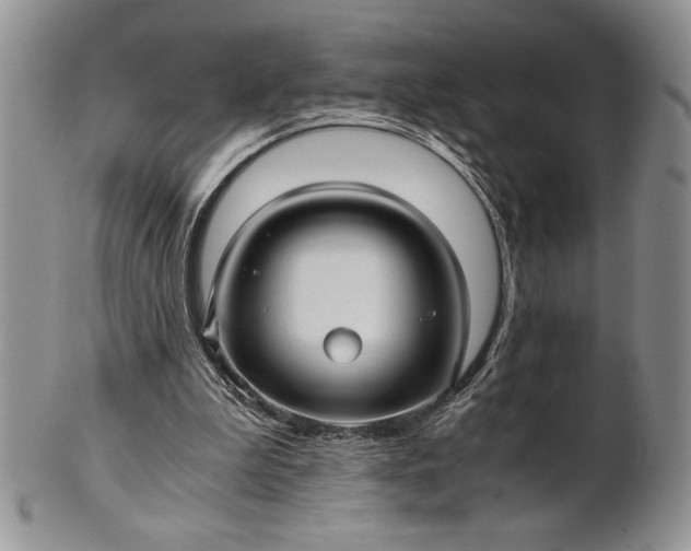 X0000101950199200808011053