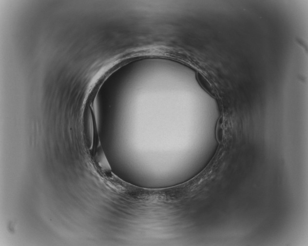 X0000101950200200808011053