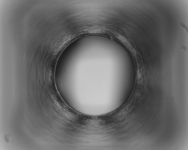 X0000101950201200808011053