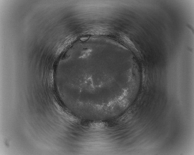 X0000101950202200808011053