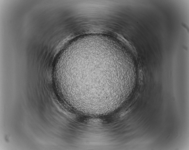 X0000101950203200808011053