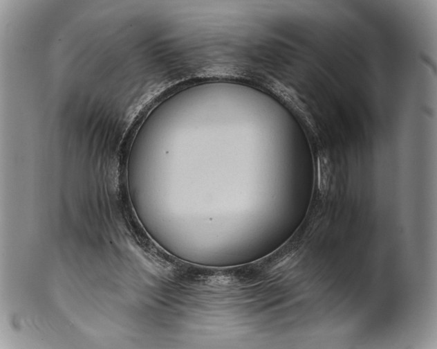 X0000101950204200808011053