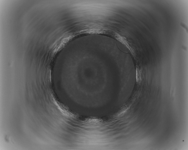 X0000101950205200808011053