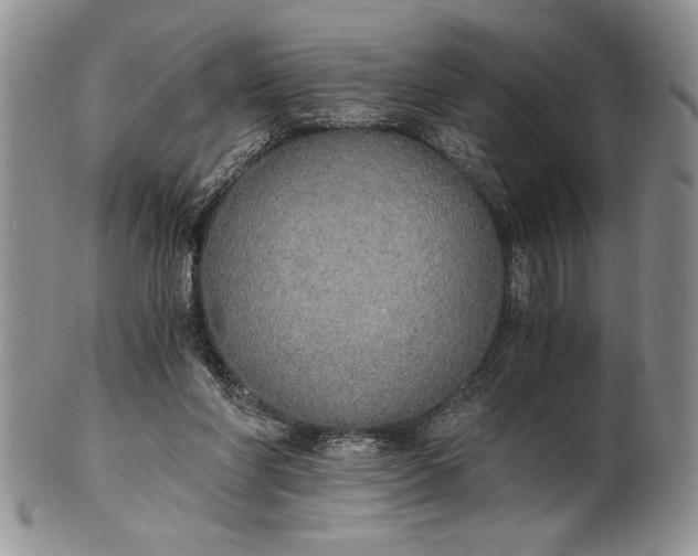 X0000101950206200808011053