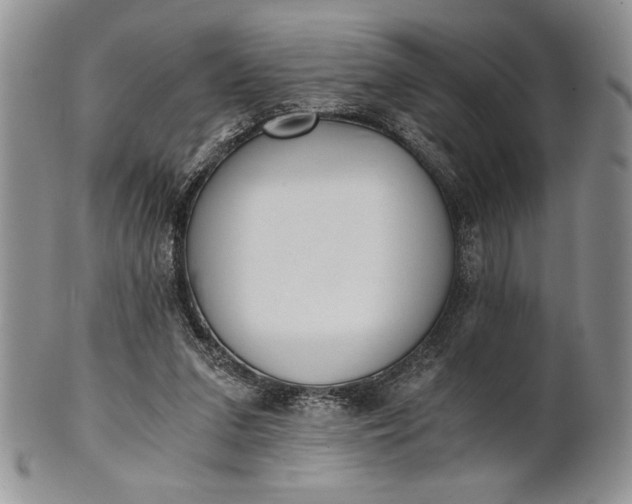 X0000101950207200808011053