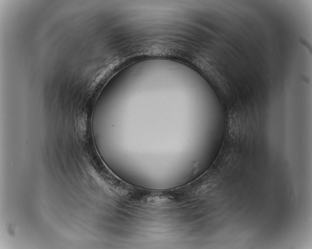 X0000101950208200808011053