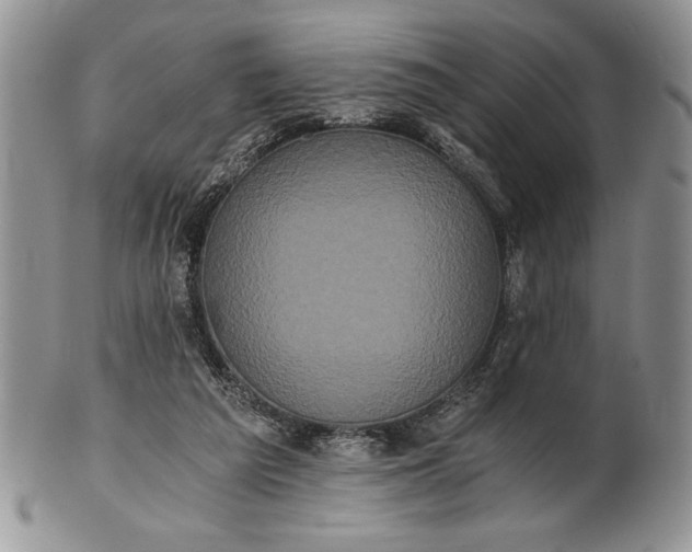 X0000101950209200808011053