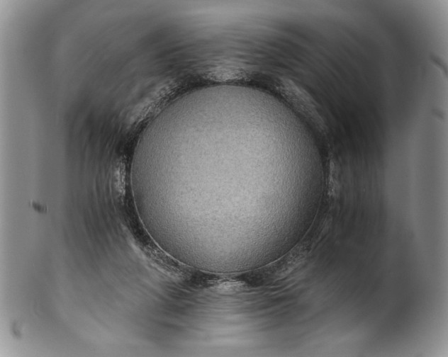 X0000101950210200808011053