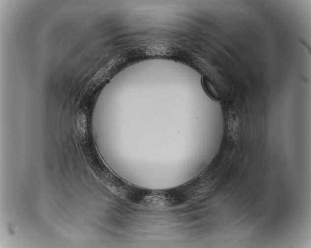 X0000101950211200808011053