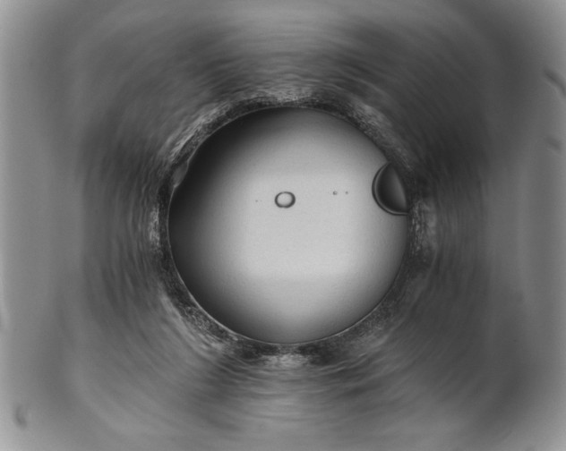 X0000101950212200808011053