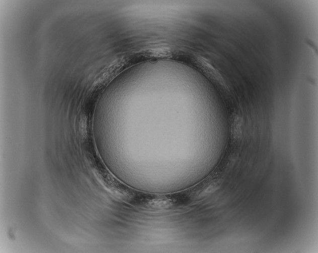 X0000101950213200808011053