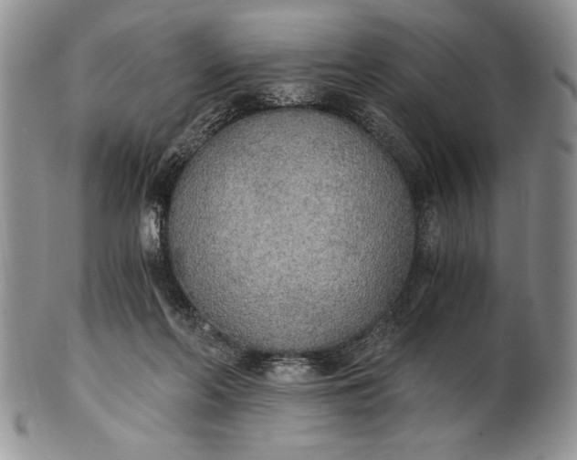 X0000101950214200808011053