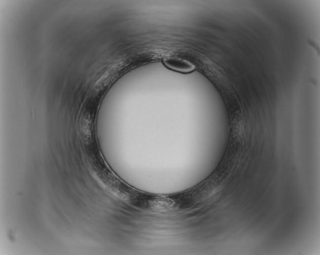 X0000101950215200808011053