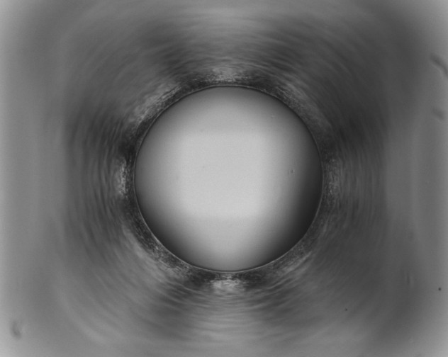 X0000101950216200808011053