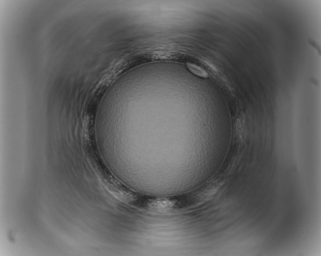 X0000101950217200808011053