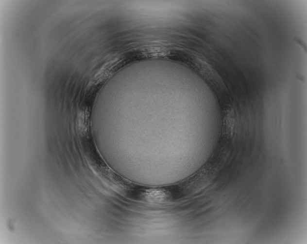 X0000101950218200808011053