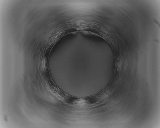 X0000101950219200808011053