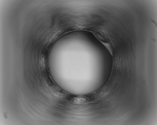 X0000101950220200808011053