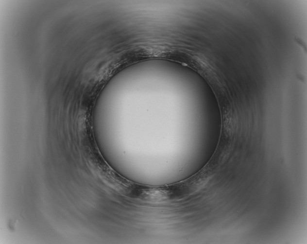 X0000101950221200808011053