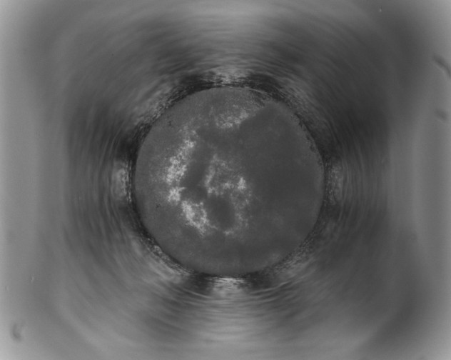 X0000101950222200808011053