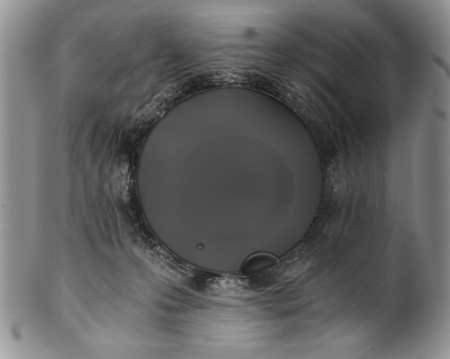 X0000101950223200808011053