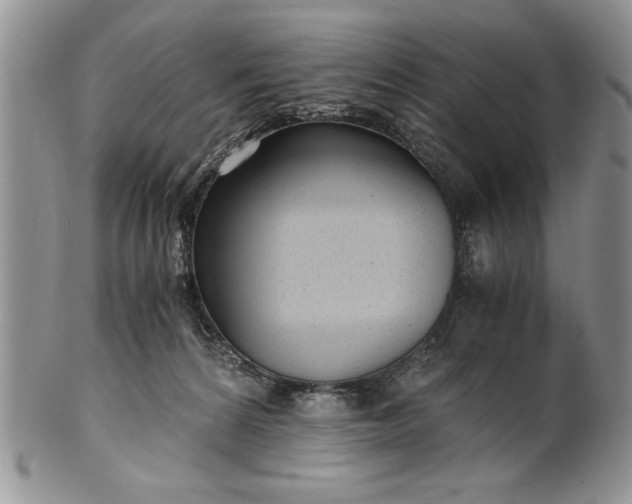 X0000101950224200808011053