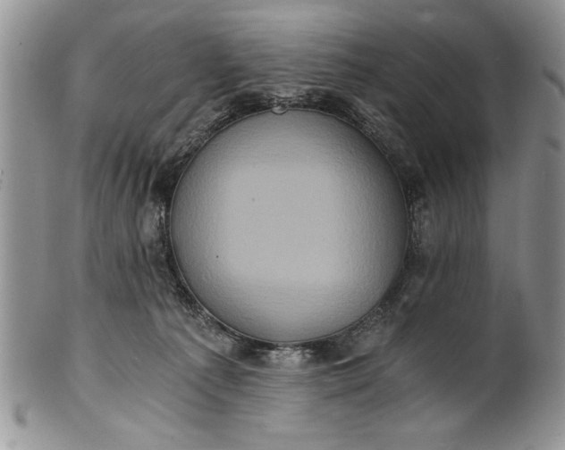 X0000101950225200808011053