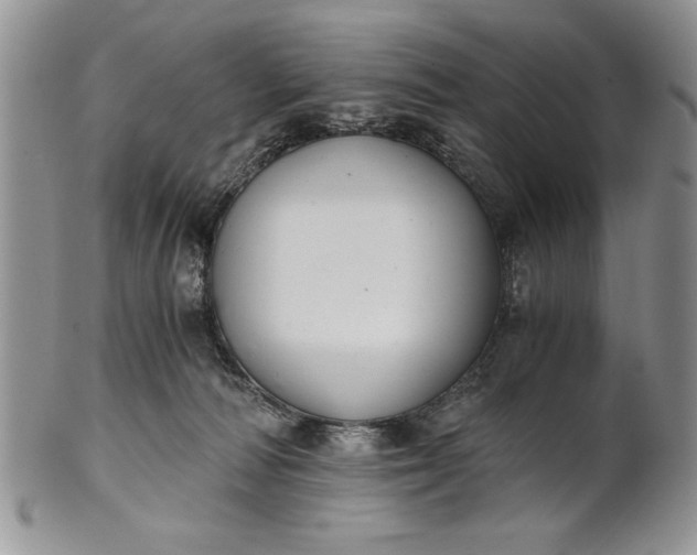 X0000101950226200808011053