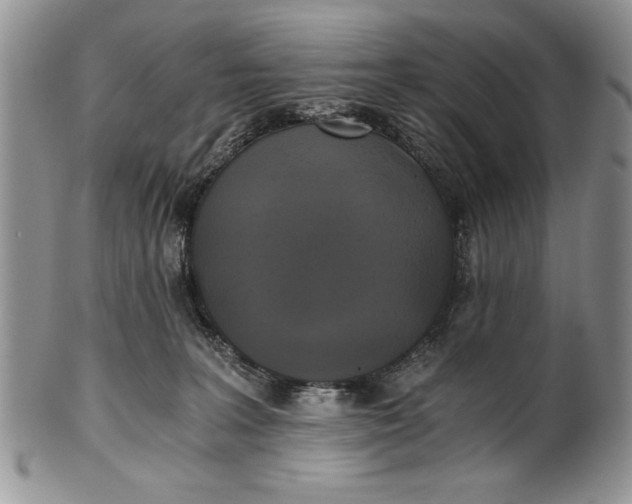 X0000101950227200808011053