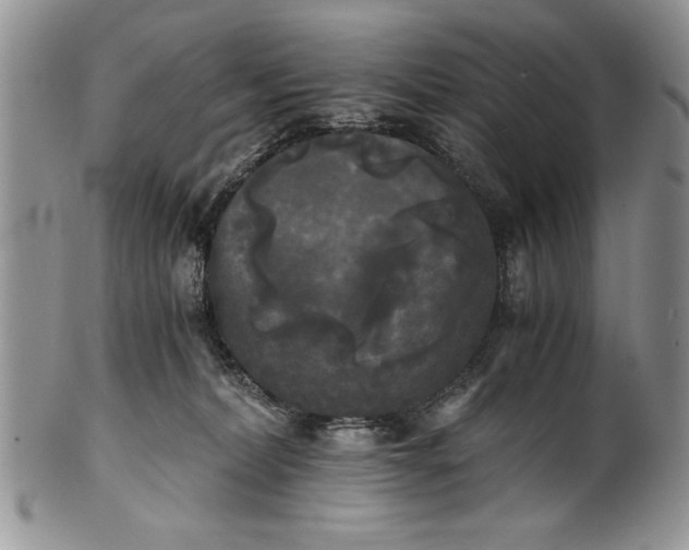 X0000101950228200808011052