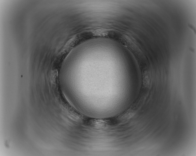 X0000101950229200808011052