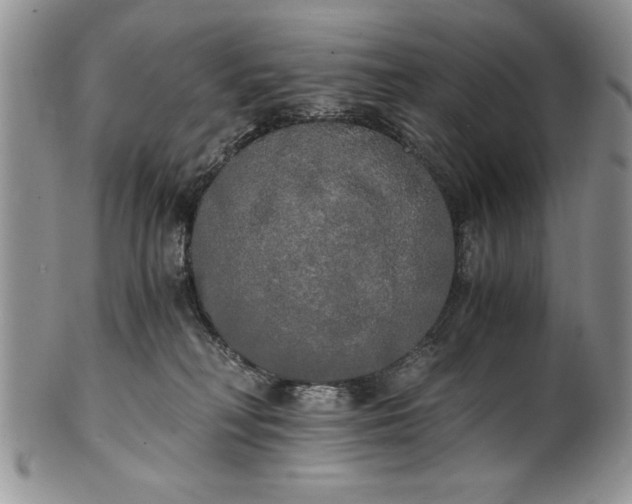 X0000101950230200808011052