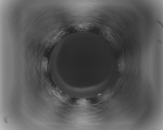 X0000101950231200808011052