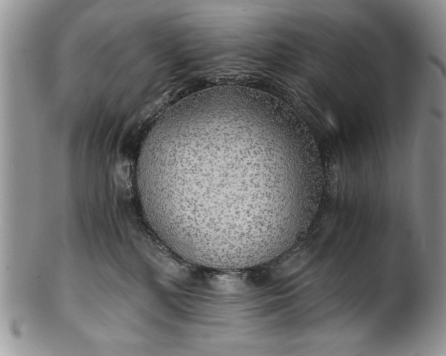 X0000101950232200808011052