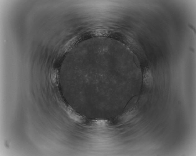 X0000101950233200808011052