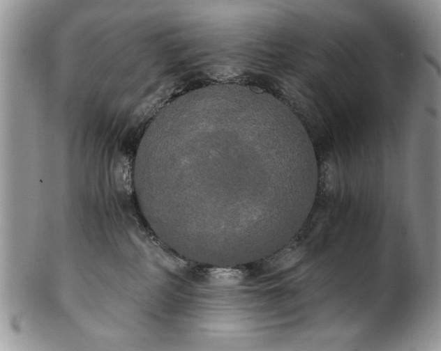 X0000101950234200808011052