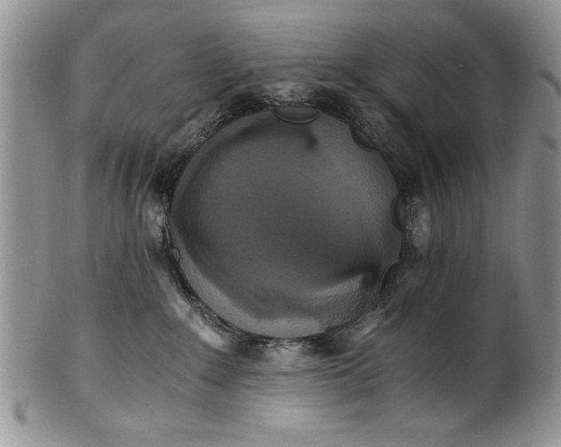 X0000101950235200808011052